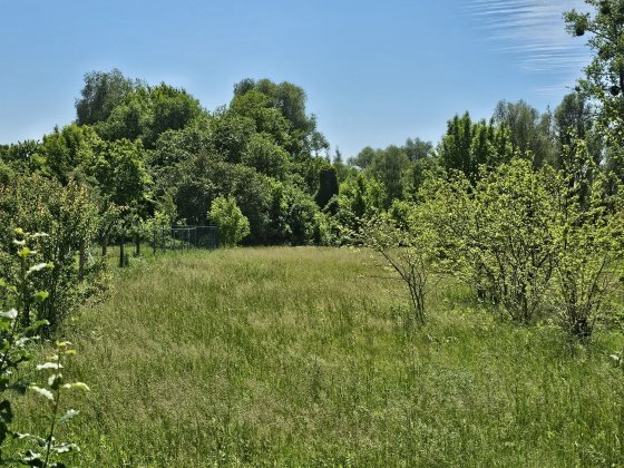 Продаж ділянки ОСГ  в центрі села Рожни Рожни