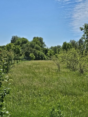Продаж ділянки ОСГ  в центрі села Рожни - фото 1