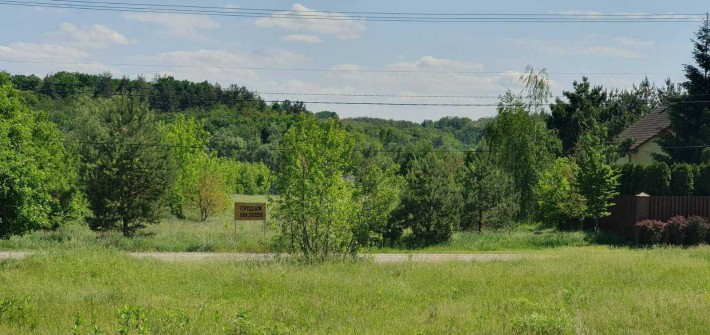 Продаж 25 сот під забудову Великі Дмитровичі, дуже гарне місце - фото 1