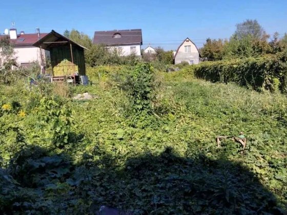 Романків, продаж ділянки 6 соток в СТ Комунальник, 5 квт, асфальт Романків