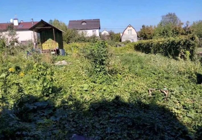 Романків, продаж ділянки 6 соток в СТ Комунальник, 5 квт, асфальт - фото 1