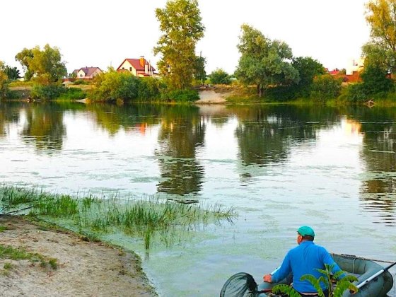 Ділянка на березі Десни Площа 2Га Рожни Броварський Рожни