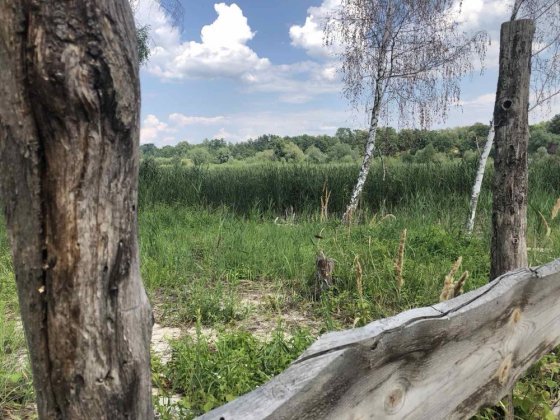Без %. Продаж земельної ділянки під житлову забудову у с. Рожни, Броварського р-ну Рожни