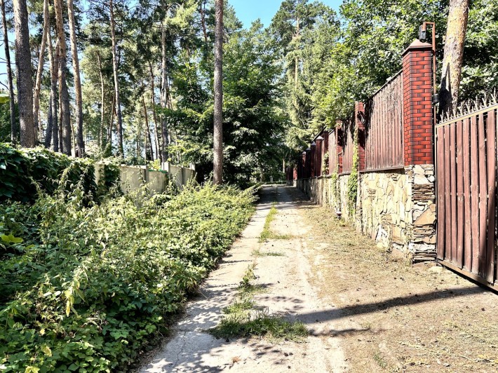 Продам 75 сот в с Романків вул Лісова. З лісом на ділянці - фото 1