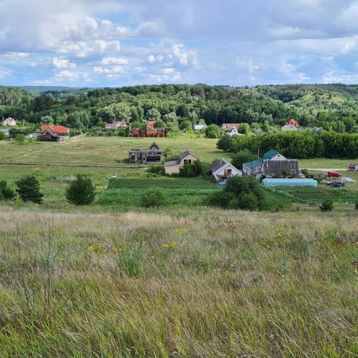 Продаж ділянки 40 соток під забудову в с.Великі Дмитровичі - фото 1