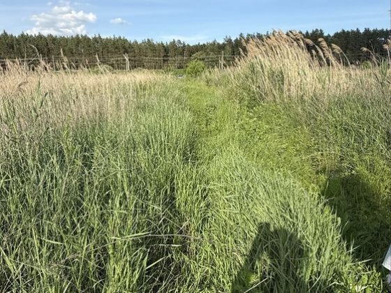 Продаж Ділянки 8 га, Промка с. Романків, Підгірці, Київська область Романків