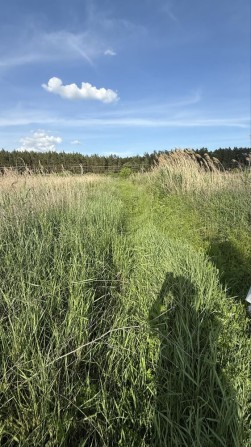 Продаж Ділянки 8 га, Промка с. Романків, Підгірці, Київська область - фото 1