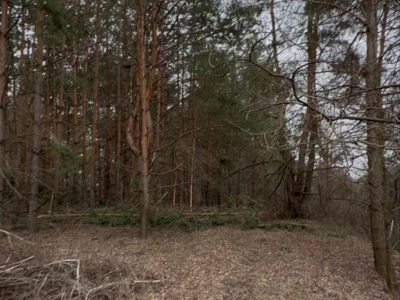 Продаж земельної ділянки в с. Рославичі Рославичі