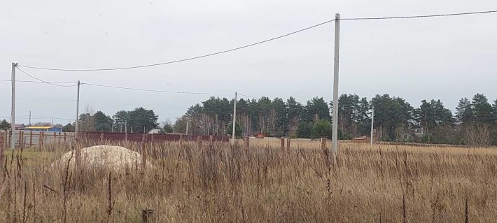 Біля лісу, Старі Петрівці, 11.5 соток для будівництва - фото 1