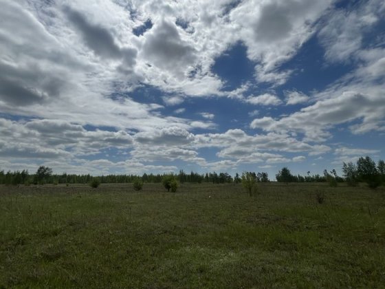 12 соток біля Києва • Старі Петрівці • Власник Старі Петрівці