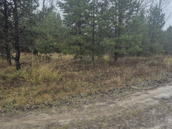 Продам 12сот с.Старі-Петрівці,дешево. Старые Петровцы