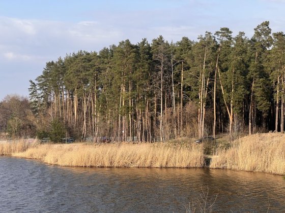 Продажа участка 108соток Вода Лес Таценки/земельна ділянка Ліс Вода Таценки