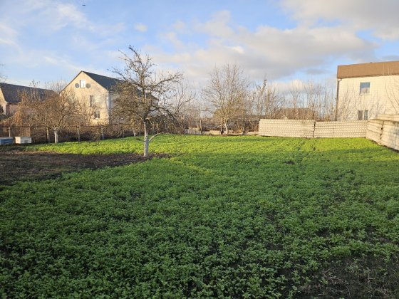 Продаж земельної ділянки під забудову, с.Тарасівка Тарасовка