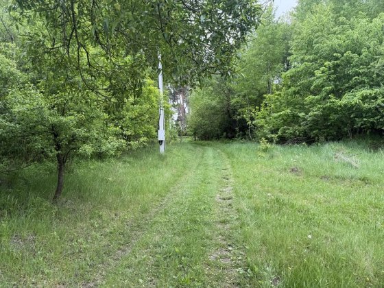 Продається земельна ділянка 25 соток  в с.Таценцки біля лісу. Таценки