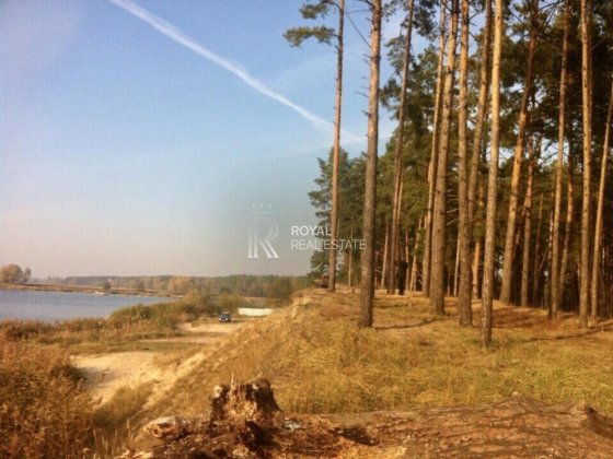 Продажа земли участка в Таценках речка лес 108 соток материнка Таценки