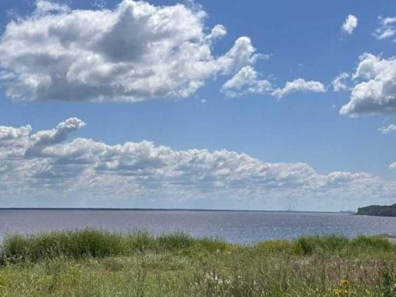 48 соток на першій лінії Київського моря в 20 км від Києва Ст.Петрівці Старі Петрівці