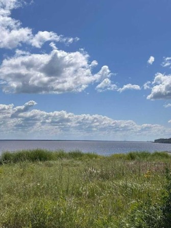 48 соток на першій лінії Київського моря в 20 км від Києва Ст.Петрівці - фото 1