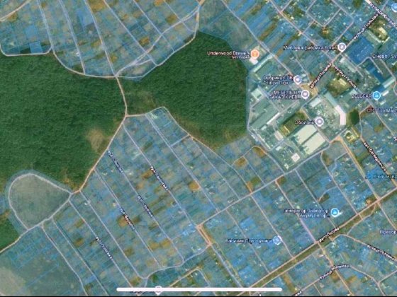 186 соток біля лісу в с .Ст. Петрівці, в 15 км від Києва Старые Петровцы