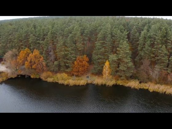 Хлепча.Одесская трасса. 2,56 Га. Берег Стугны. Лес.Коммуникации. Хлепча
