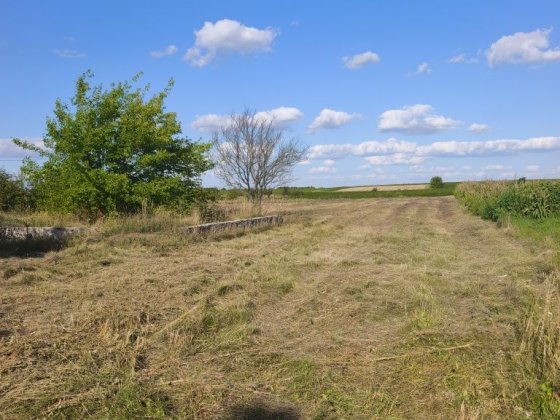 Продаж земельної ділянки в селі Фурси Фурси