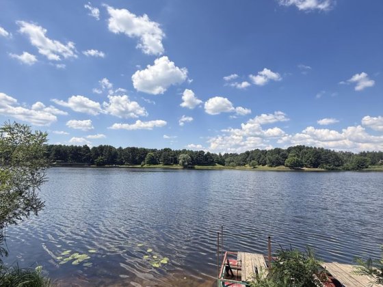 Продам ПРЕМІАЛЬНУ Земельну ділянку 65 соток ,  Серед СОСЕН , з виходом на Канал Київського Моря  , у Хотяновка