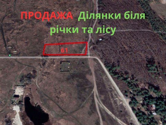 ПРОДАЖА земельної ділянки 61 сотка біля лісу. Село Хотянівка. Хотянівка
