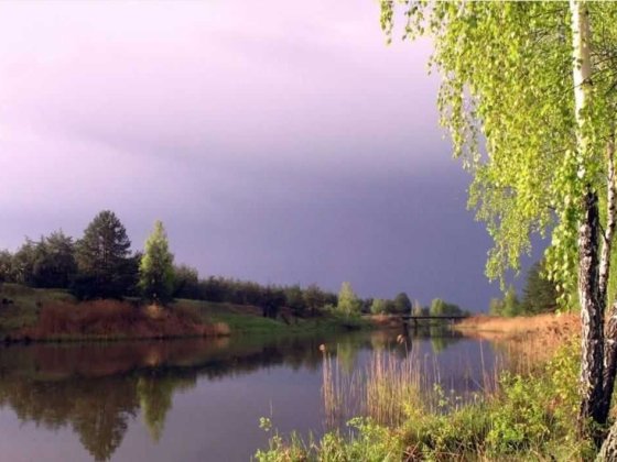 142 сотки в СТ біля Київського водосховища, м. Вишгород Хотянівка