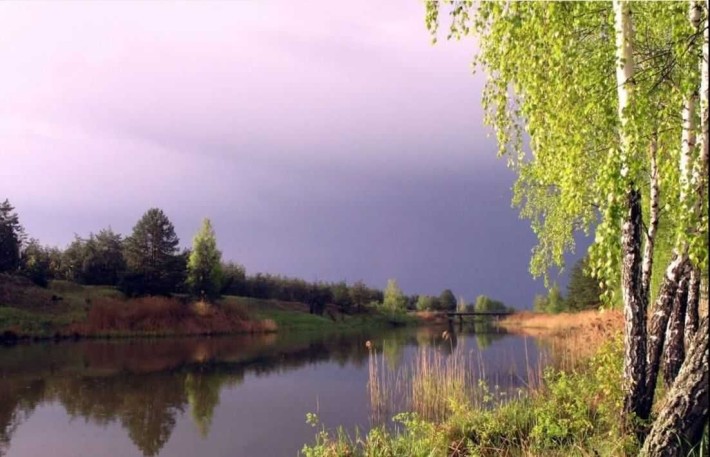 142 сотки в СТ біля Київського водосховища, м. Вишгород - фото 1