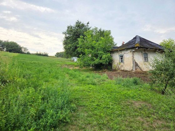 Ділянка 31 сот в мальовничому місці с. Шкарівка Шкарівка