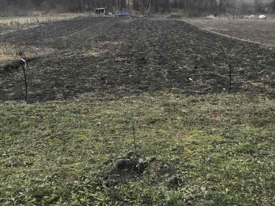 Продам ділянку під забудову Шкарівка, 7,5 сотки Шкаровка