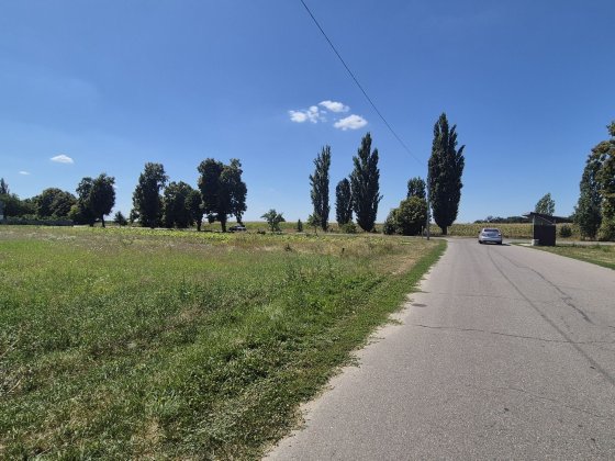 Продається земельна ділянка в с. Шкарівка,  Білоцерківського району. Шкаровка