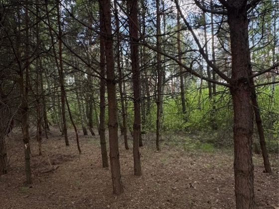 Мальовнича ділянка від власника Ясногородка