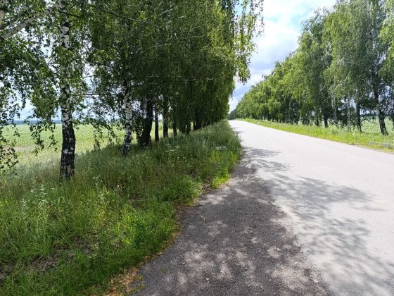 Продам фасадну  земельну ділянку 6,53га  Макарівський район  , село Ясногородка Ясногородка