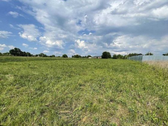 ПРОДАЖ земельної ділянки Ясногородка Макарівський район  30 соток біля траси Ясногородка