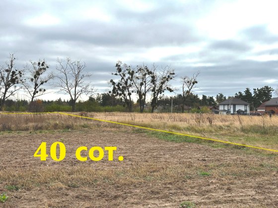 Продам 4 земельні ділянки поруч — загальна площа 50 соток! Юровка
