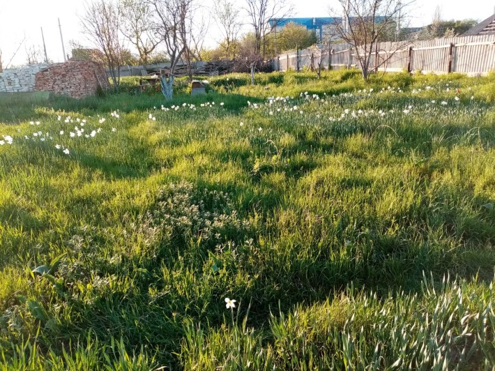 Земельна ділянка під забудову Стара Балашівка 10 соток, вул.Брестська2 - фото 1