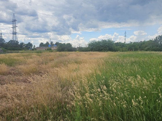 Продам ділянку Соколівське Жадова 20 сот Соколовское
