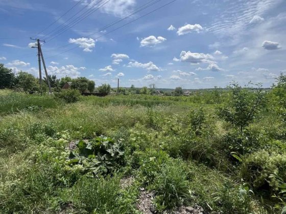 Продам земельну ділянку 19 сот в Сазонівці Созоновка