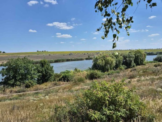 Продам земляну ділянку 12 соток. Бережинка