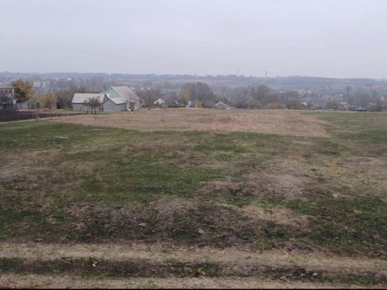 Терміновий продаж земельної ділянки, с.Бережинка Бережинка