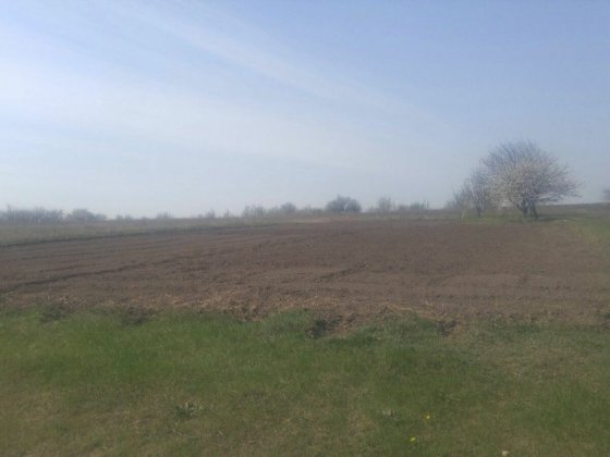 Земельна ділянка в селі Бережинка Бережинка