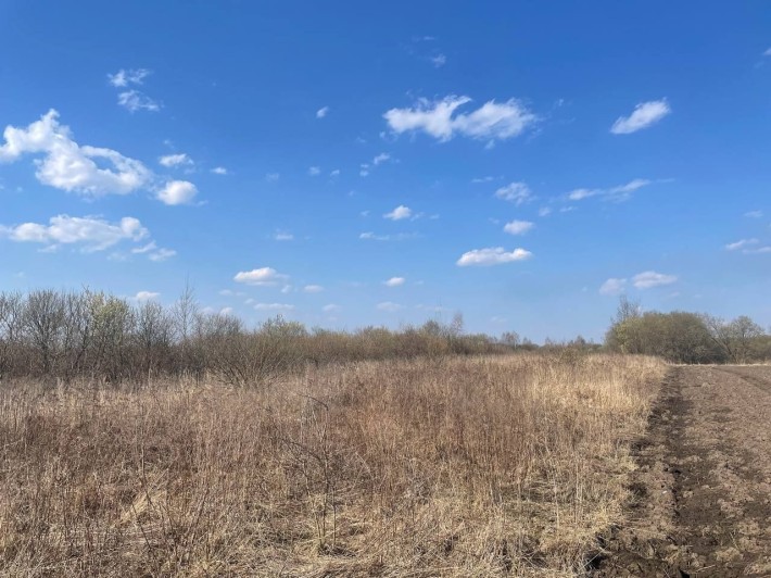 Продаж земельної ділянки с. Сокільники - фото 1
