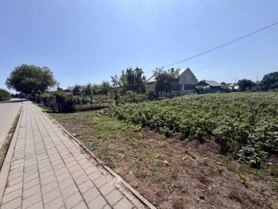 Продаж земельної ділянки в СОЛОНЦІ