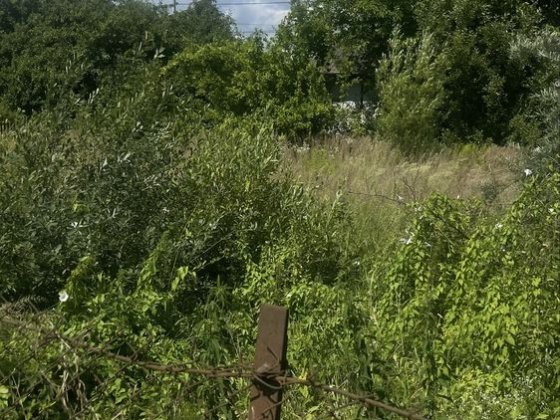 Продаж ділянки в Сокільниках Сокольники