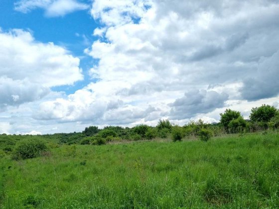 Продаж ділянки 2.5гектара с.Сокільники за котеджами Riviera City Park. Сокольники