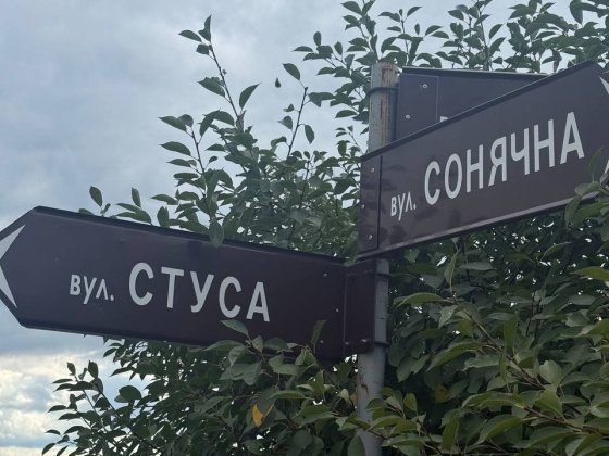 Продаж ділянки 31.7 сот., в Солонці