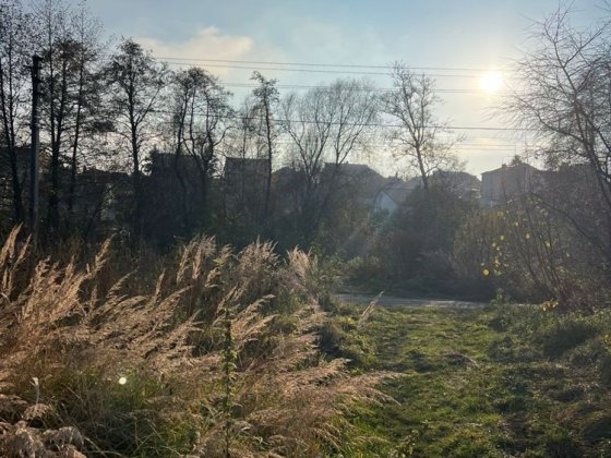 Земельна ділянка 16 соток, Сокільники, під котеджи,таунхауси Сокільники