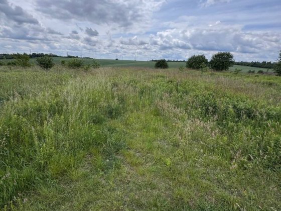 Продаж земельної ділянки  Сокільники | вул. Спокійна 15 сотих Сокільники