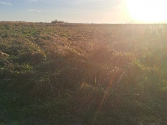 Земельна ділянка.  В Солонці 14 сот. Солонка