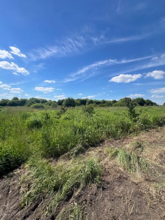 Земельна ділянка Сокільники - фото 1
